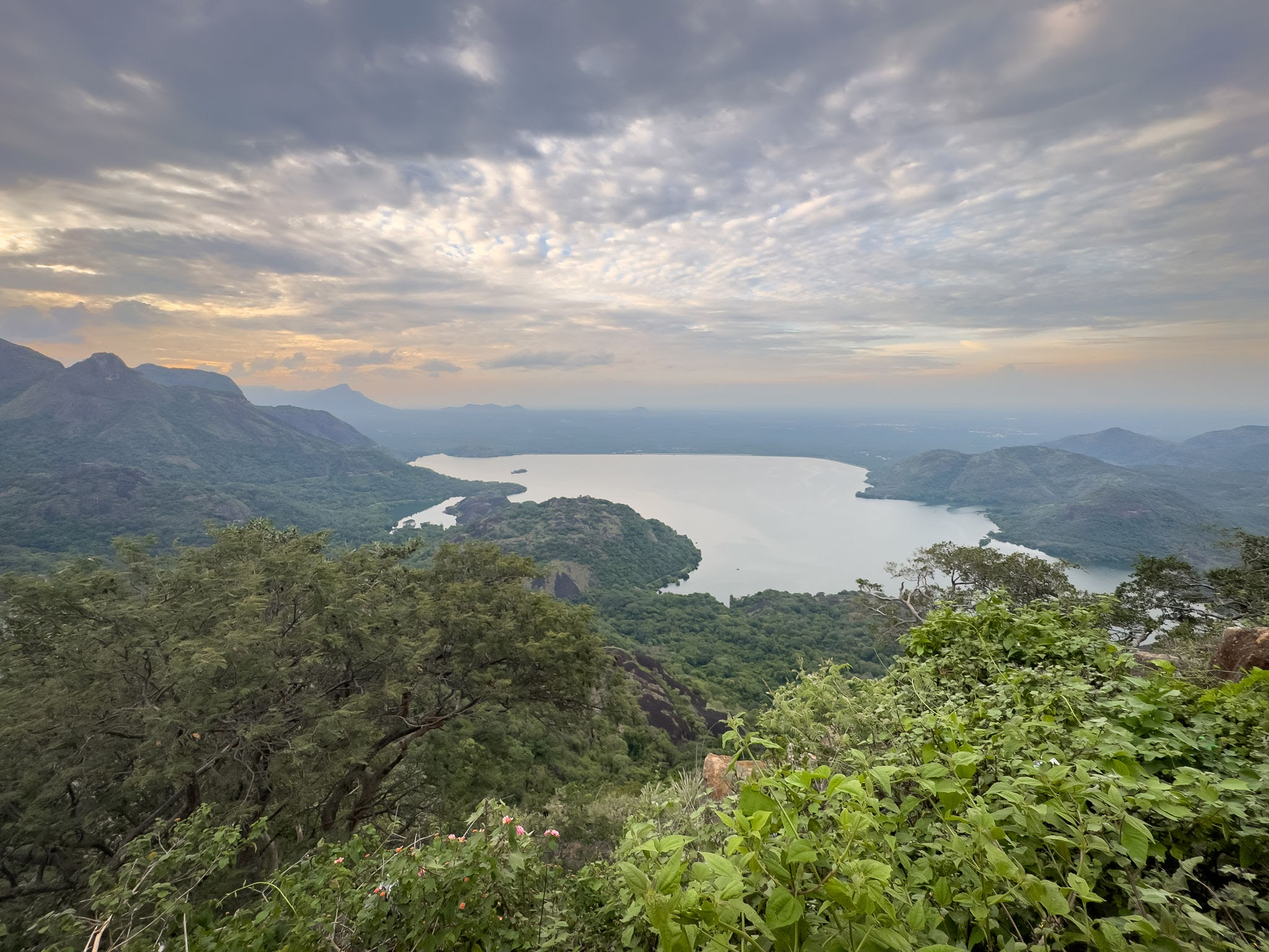 Loam's View Point